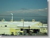 IMG_1825 * 650 x 488 * (54KB)