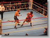 IMG_2191 * 650 x 488 * (92KB)