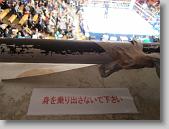 IMG_2226 * 650 x 488 * (69KB)