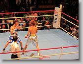 IMG_2244 * 650 x 488 * (91KB)