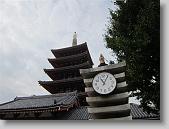 IMG_2424 * 650 x 488 * (82KB)