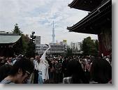 IMG_2440 * 650 x 488 * (76KB)