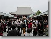 IMG_2443 * 650 x 488 * (82KB)