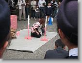 IMG_2457 * 650 x 488 * (81KB)