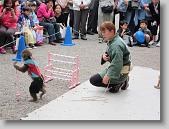 IMG_2521 * 650 x 488 * (108KB)