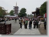 IMG_2528 * 650 x 488 * (89KB)