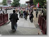 IMG_2529 * 650 x 488 * (121KB)