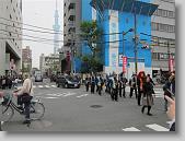 IMG_2545 * 650 x 488 * (102KB)