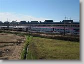 IMG_2713 * 650 x 488 * (84KB)