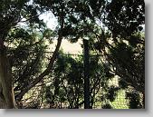 IMG_4273 * 640 x 480 * (225KB)