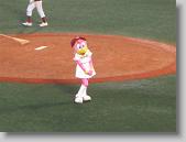 IMG_5439 * 640 x 480 * (55KB)