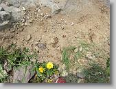 IMG_6216 * 640 x 480 * (217KB)