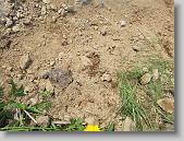 IMG_6217 * 640 x 480 * (224KB)