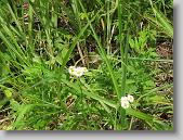 IMG_6376 * 640 x 480 * (208KB)