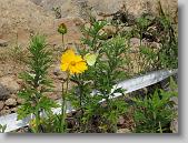 IMG_6377 * 640 x 480 * (186KB)