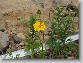 IMG_6378 * 640 x 480 * (157KB)