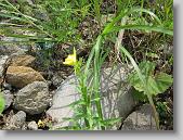 IMG_6379 * 640 x 480 * (214KB)